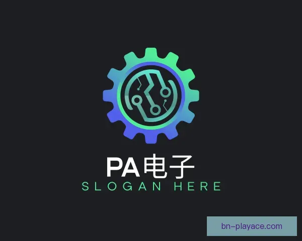 认识PA电子